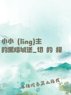 小小領(lǐng)主的黑暗城堡
