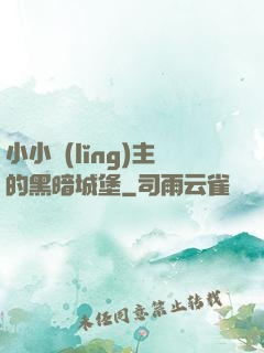 小小領(lǐng)主的黑暗城堡