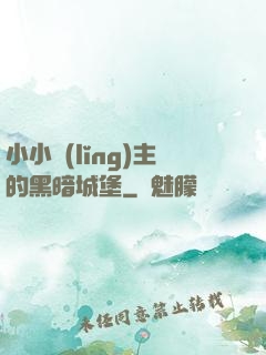 小小領(lǐng)主的黑暗城堡