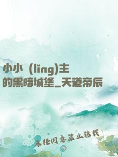 小小領(lǐng)主的黑暗城堡