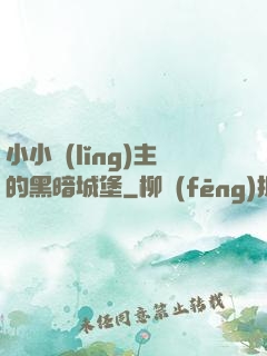 小小領(lǐng)主的黑暗城堡