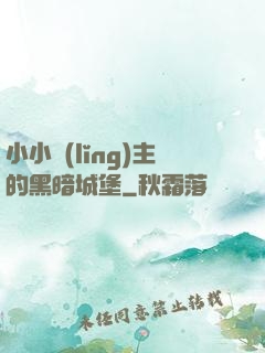 小小領(lǐng)主的黑暗城堡