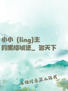 小小領(lǐng)主的黑暗城堡
