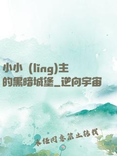 小小領(lǐng)主的黑暗城堡