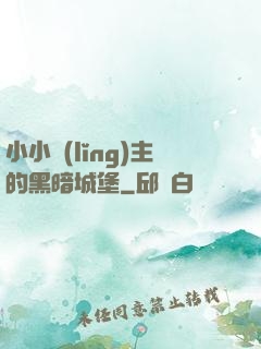 小小領(lǐng)主的黑暗城堡