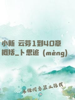 小新與云芬1到40章概括