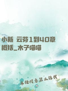 小新與云芬1到40章概括