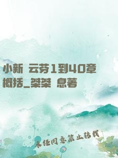 小新與云芬1到40章概括