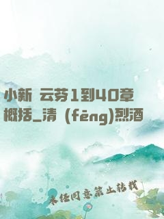 小新與云芬1到40章概括
