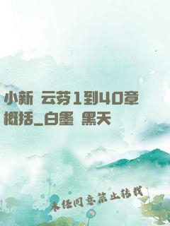 小新與云芬1到40章概括