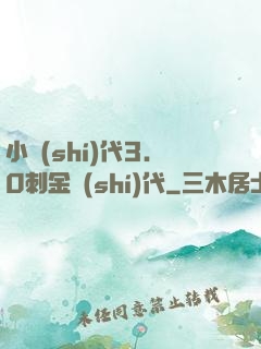 小時(shí)代3.0刺金時(shí)代