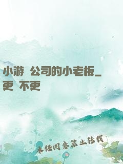 小游戲公司的小老板