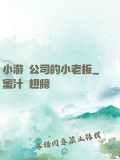 小游戲公司的小老板