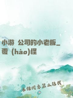 小游戲公司的小老板