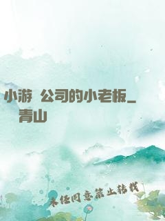 小游戲公司的小老板