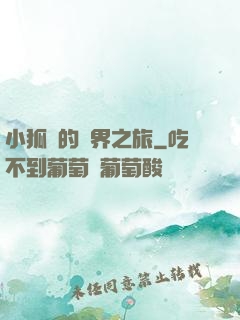 小狐貍的異界之旅