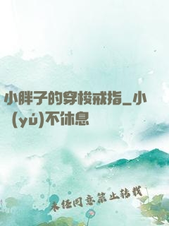 小胖子的穿梭戒指