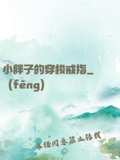 小胖子的穿梭戒指