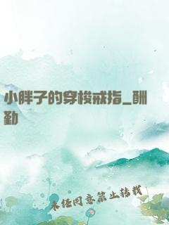 小胖子的穿梭戒指