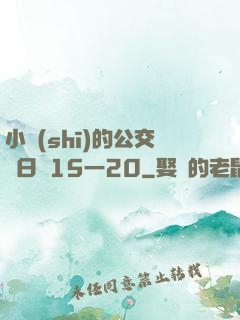 小詩(shī)的公交車日記15一20
