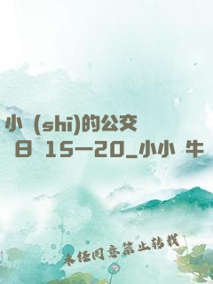 小詩(shī)的公交車日記15一20