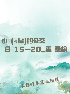 小詩(shī)的公交車日記15一20