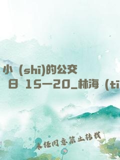 小詩(shī)的公交車日記15一20