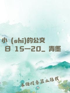 小詩(shī)的公交車日記15一20