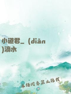 小道君