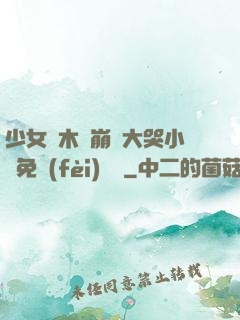 少女騎木驢崩潰大哭小說免費(fèi)閱讀