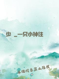 少帥