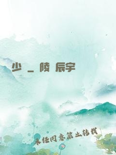 少帥