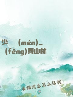 少帥臨門(mén)