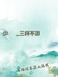少帥臨門