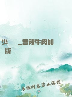 少帥臨門