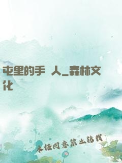 屯里的手藝人