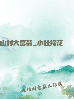 山村大富翁