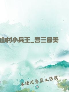 山村小兵王