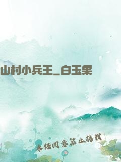 山村小兵王