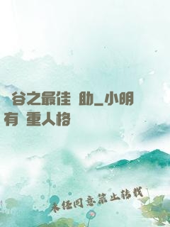 峽谷之最佳輔助