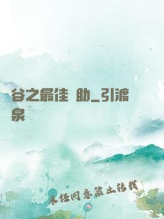 峽谷之最佳輔助