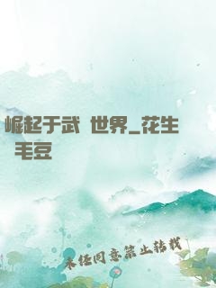 崛起于武俠世界