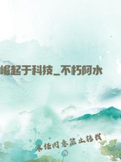 崛起于科技