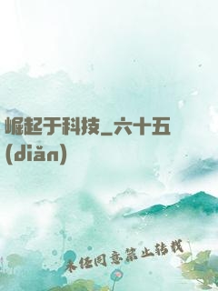 崛起于科技