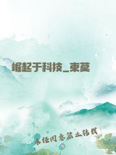 崛起于科技