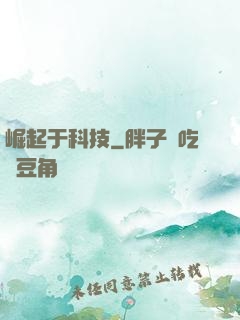 崛起于科技