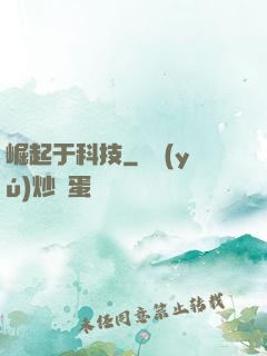 崛起于科技