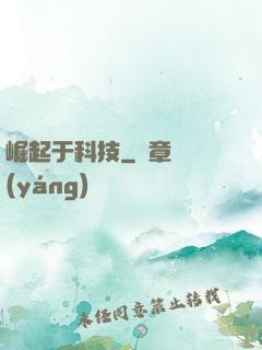 崛起于科技