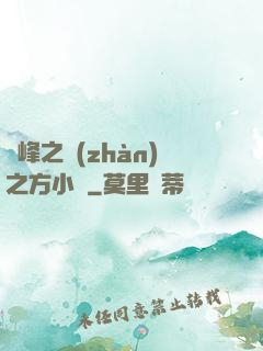 巔峰之戰(zhàn)之方小曉