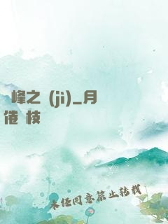 巔峰之紀(jì)